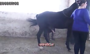 beastiality porn,